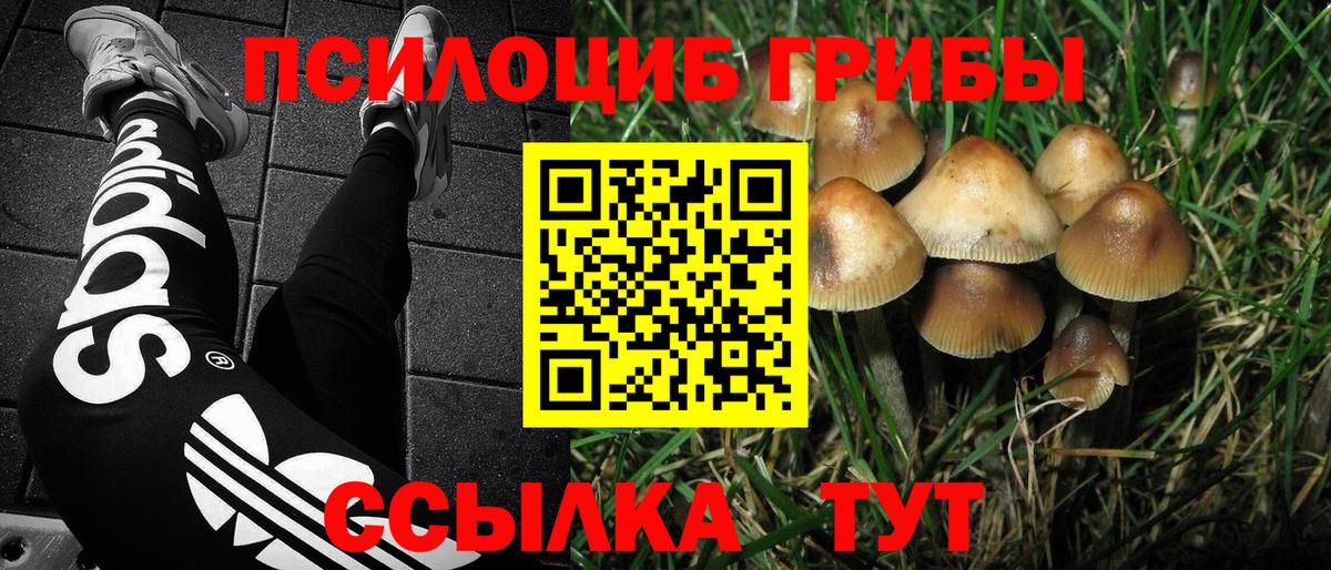 Галлюциногенные грибы ЛСД Вышний Волочёк