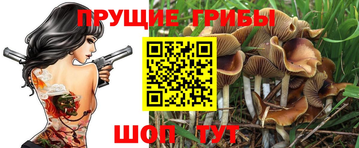 Галлюциногенные грибы MAGIC MUSHROOMS  Галлюциногенные грибы MAGIC MUSHROOMS  купить наркотики сайты  Вышний Волочёк  Вход с VPN 