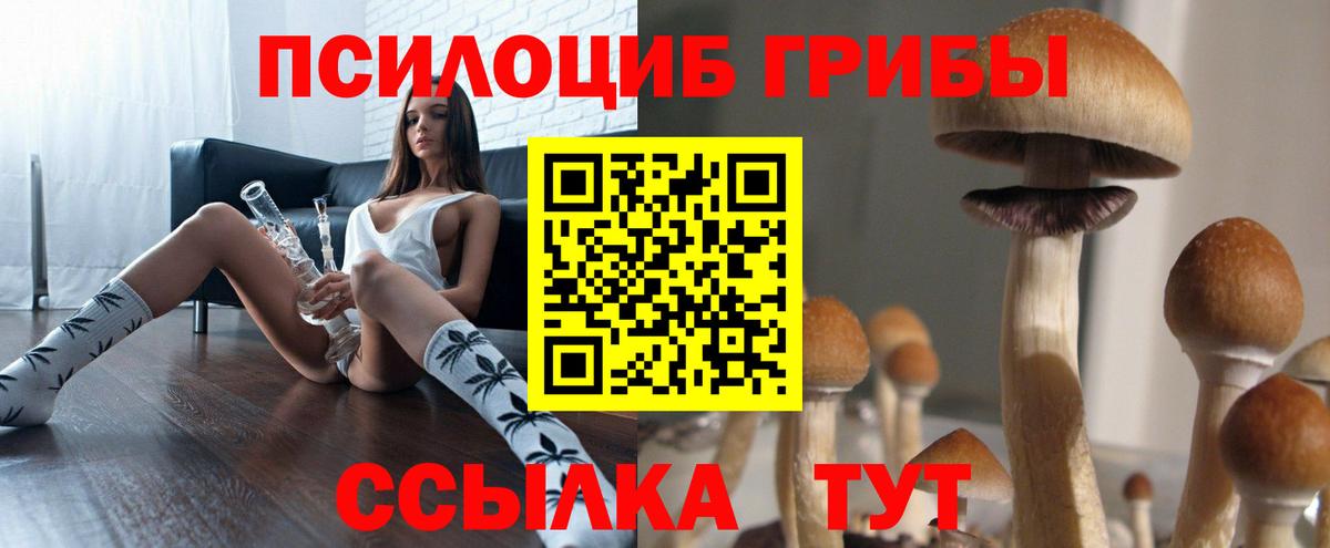 Псилоцибиновые грибы MAGIC MUSHROOMS  Псилоцибиновые грибы MAGIC MUSHROOMS  Вышний Волочёк 
