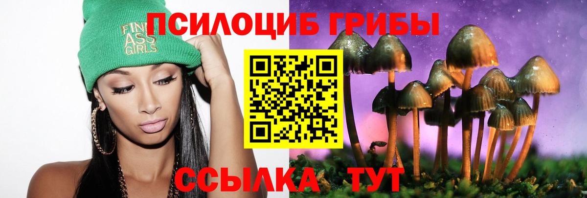 Галлюциногенные грибы MAGIC MUSHROOMS Вышний Волочёк